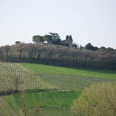 IMG_0055