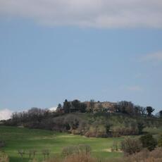 IMG_0426