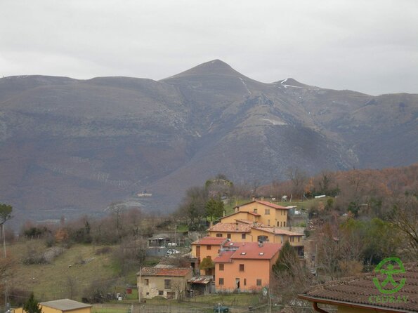 DSCN2783