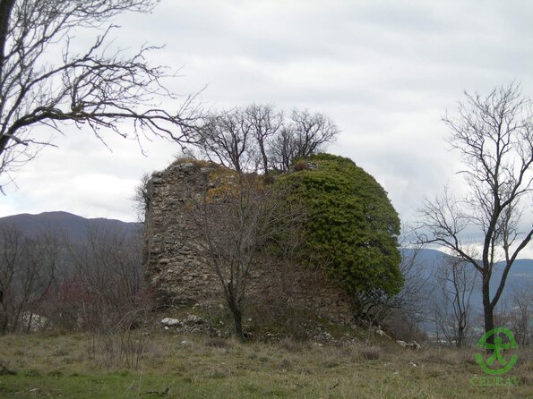 DSCN2786