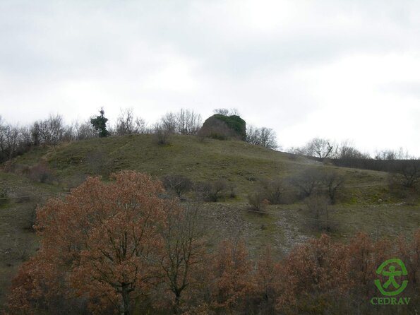 DSCN2807