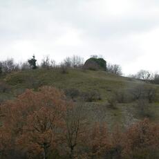 DSCN2807