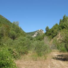 IMG_7437