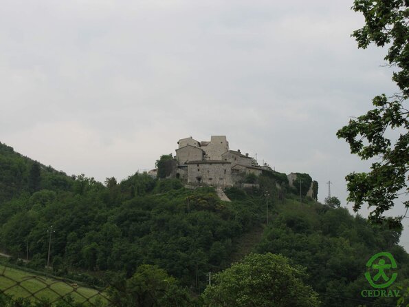 IMG_6437