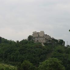 IMG_6437