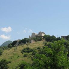 IMG_7091
