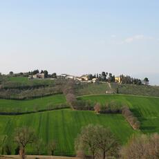 IMG_0051