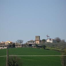 IMG_0602