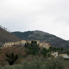 IMG_0504