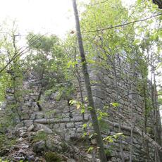 IMG_1461