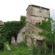 IMG_6498