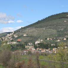 IMG_6019