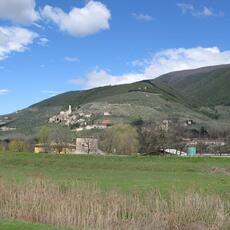 IMG_6021