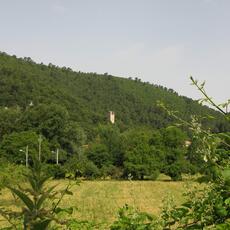 IMG_0813