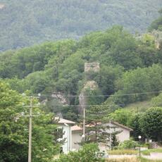 IMG_2259