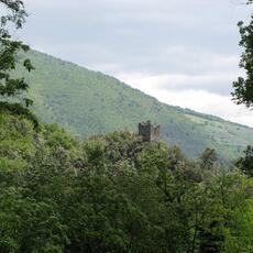 IMG_1901