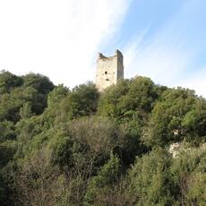 IMG_5194