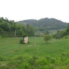 IMG_6453