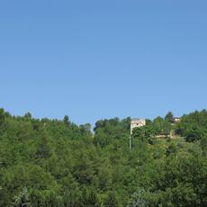 IMG_7071