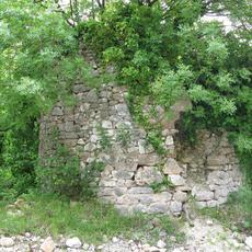 IMG_6549