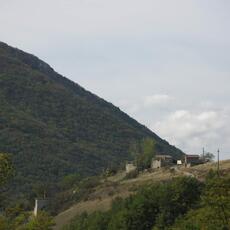 IMG_4343