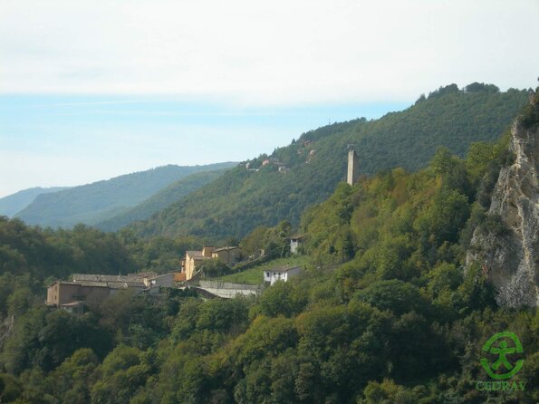 DSCN1961
