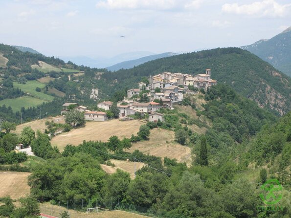 IMG_2691