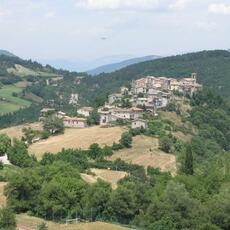 IMG_2691