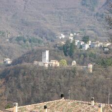 IMG_0884
