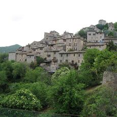 IMG_1453