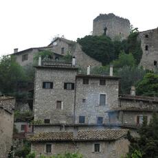 IMG_1454