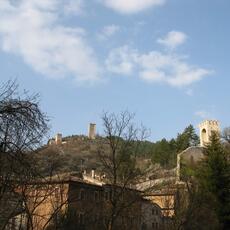 IMG_0565