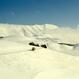 C) PIANI DI CASTELLUCCIO DI NORCIA 1995