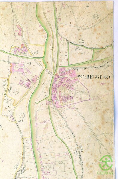 SCHEGGINO1
