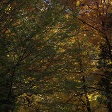 IMG_9193