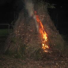 IMG_9171