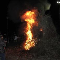 IMG_9174