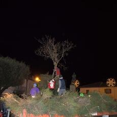 Falò Faoni Norcia festa ginestra