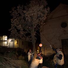 Falò Faoni Norcia festa ginestra