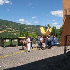 IMG_8461
