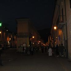 IMG_5931