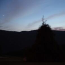 IMG_2767