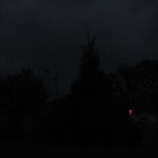 IMG_7635