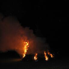 IMG_9450
