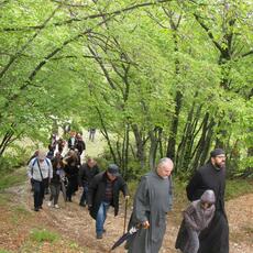 IMG_7720