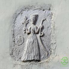IMG_04701