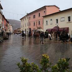 IMG_8936