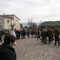 IMG_5667