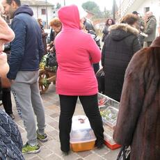 IMG_5685