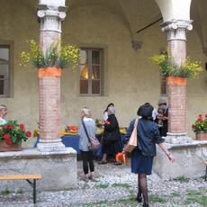 IMG_7881